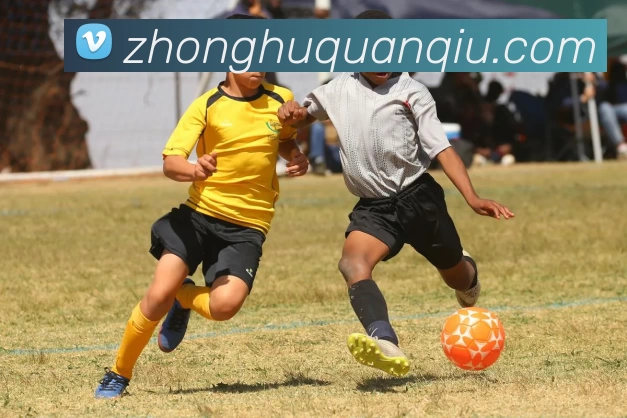 十大信誉好的平台平台生态图